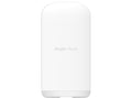 Reyee 5GHz WiFi 5 Fast Ethernet 13dBi 30° CPE with 2xPoE Output